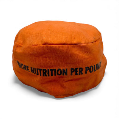 Fort Orange Feeds Painter's Cap