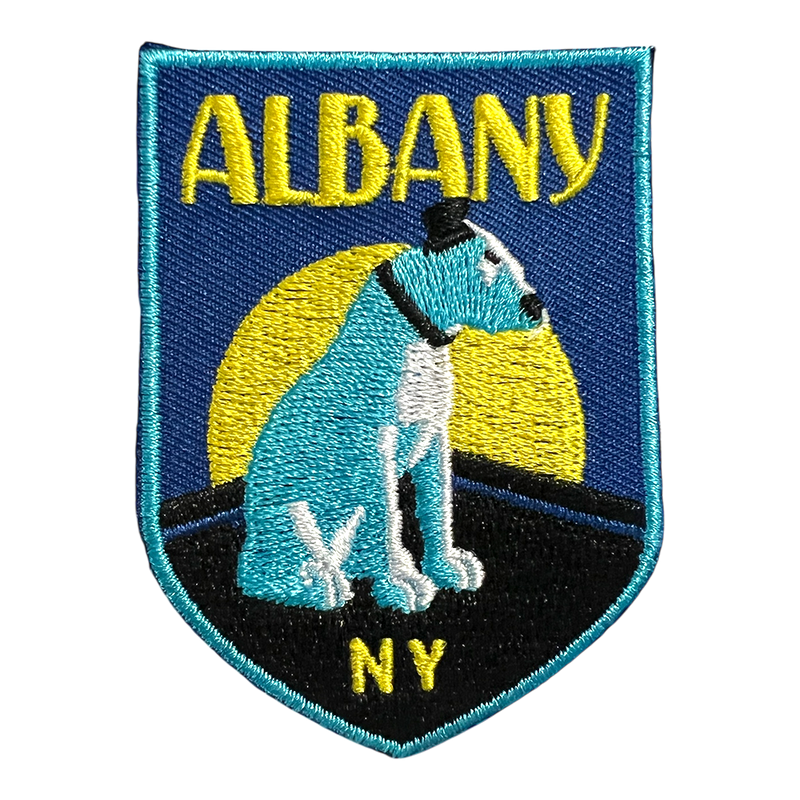 Albany, NY Travel Patch