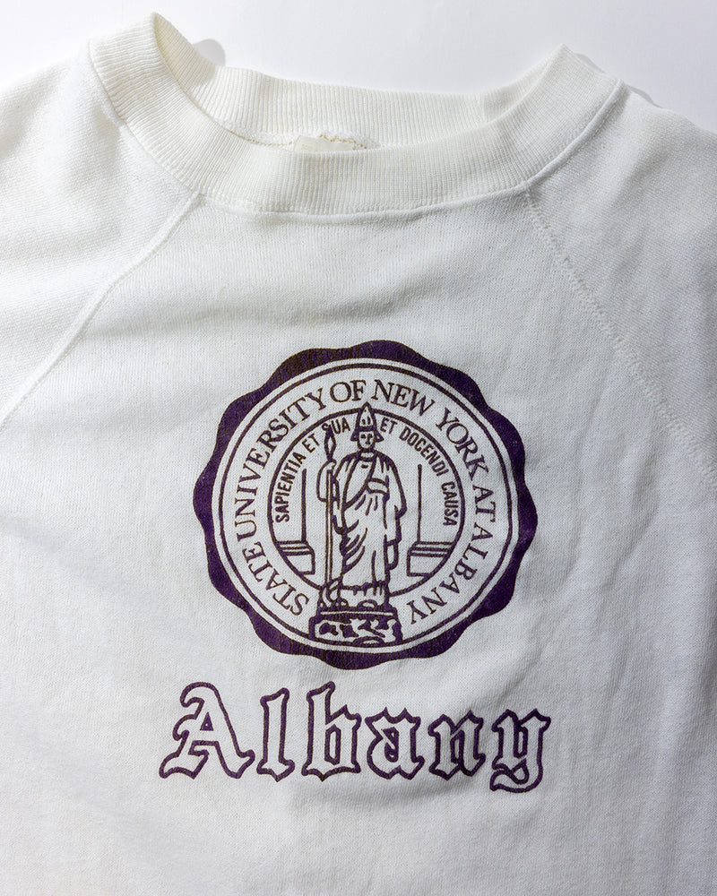SUNY Albany Seal Crewneck